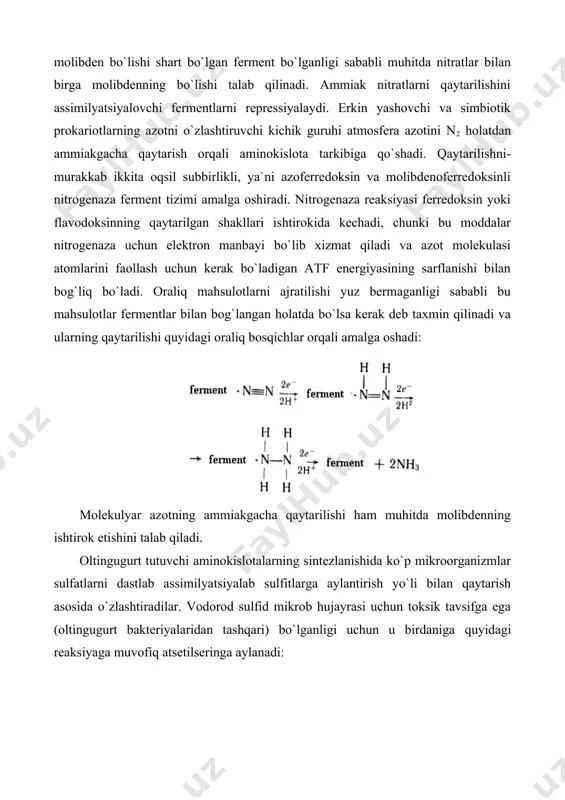 o`p miqdorda yig`ilishiga erishish lozim bo`ladi. bu xil mikroblar tabiiy manbalardan ajratib olinadi. masalan, yovvoyi tip shtammlari orasida glutamin kislota, prolin yoki valinni to`playdigan xillari uchraydi. lekin aminokislota produsentlarini seleksiyalashning asosiy yo`li-auksotrof va boshqaruvchi mutantlarni ajratib olishdan iboratdir. auksotrof mutantlarni bakterial suspenziya aralashmasiga fizik (ultrabinafsha va rentgen nurlari) va kimyoviy (etilenimin, dietilsulfat, nitroetilmochevina) omillarni ta`siridan so`ng selektiv muhitda tanlab ajratib olinadi. bunday mutantlarda fermentni determinatsiyalovchi defekt gen paydo bo`ladi-ki, usiz muayyan aminokislotani biosintezi amalga oshmaydi. aminokislotalarning produsentlari-auksotrof mutantlar sifatida faqat dastlabki mahsulotning bir xilidan eng kamida ikkita aminokislotani tarmoqli ravishda biosintezini amalga oshiruvchi mikroorganizmlardan foydalanish mumkin bo`ladi. aminokislotalarning biosintezini umumiy sintetik jarayonning birinchi fermenti faoliyati darajasida so`nggi mahsulotning hosil bo`lishi orqali retroingibirlash yo`li bilan nazorat qilinadi. bu xil auksotrof mutantlarda muhitda bir xil aminokislotalarning ko`p miqdorda bo`lib, ikkinchi aminokislotaning kamligi ferment faolligini to`sib qo`ymaydi. mutagen ta`sir natijasida biosintezi to`sib qo`yilgan aminokislota muhitga chegaralangan miqdorda qo`shilishi mumkin. boshqaruvchi mutantlarni tanlashda ular …