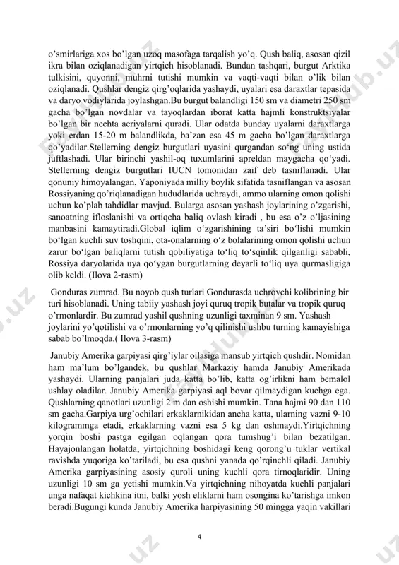 adi va butun vaznini uzun ingichka oyoqlarda ushlab turadi. ibislar leylak va laylaklarga juda o’xshaydi: ular uzun bo’yin, oyoq va tumshug’i bilan bog’liq. ibis tumshug’ining uzunligi 40 sm, bo’yni esa yarim metrga yetishi mumkin. yovvoyi tabiatda umr ko’rish davomiyligi taxminan 20 yil. shunisi e’tiborga loyiqki, bu qushlar monogamdir, ya’ni ular bir marta va umuman o’zlari uchun juftlikni tanlaydilar. oq ibisning oyoqlari va yalang’och bo’yni qizil rangga ega. bugungi kunda xitoyda faqat bitta koloniya ma’lum bo’lib, unda atigi 17 kishi mavjud. turlarning yo’q bo’lib ketishiga asosiy sabab insonlar tomonidan ov qilinishi va o’rmonlarning ommaviy qirilishi hisoblanadi. bugungi kunda ibislar himoya ostida bo’lishiga qaramay, ular yo’q bo’lib ketishda davom etmoqda. (ilova 1-rasm) stellerning dengiz burguti. bu noyob qushlar rossiyadan tashqarida kamdan-kam uchraydi, ular vaqti-vaqti bilan qishlash uchun uchib ketishadi. steller dengiz burguti ( haliaeetus pelagicus ), tinch okeani dengiz burguti yoki oq yelkali burgut sifatida ham tanilgan yirik kunduzgi yirtqich qushdir . …