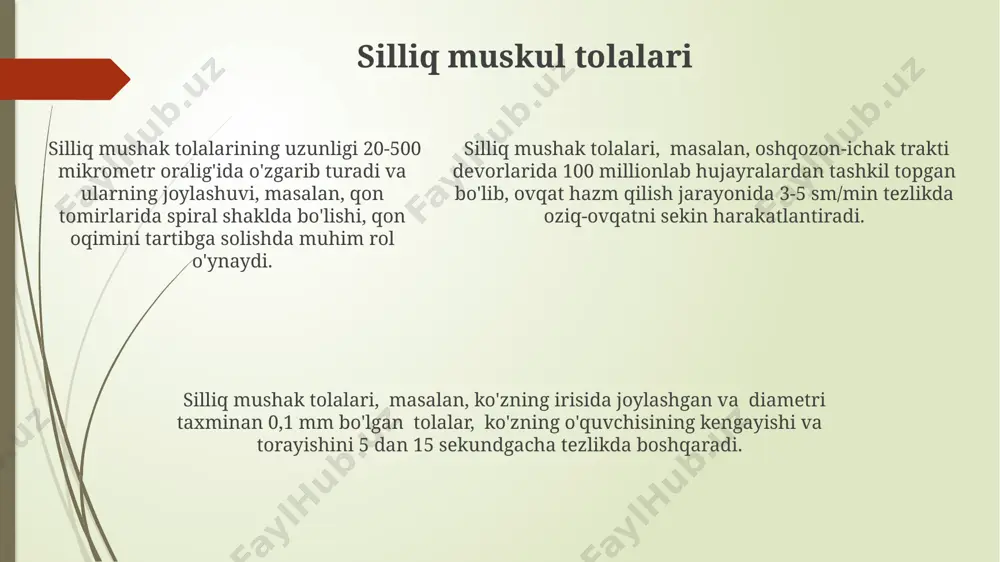 mushak sistema - Page 5