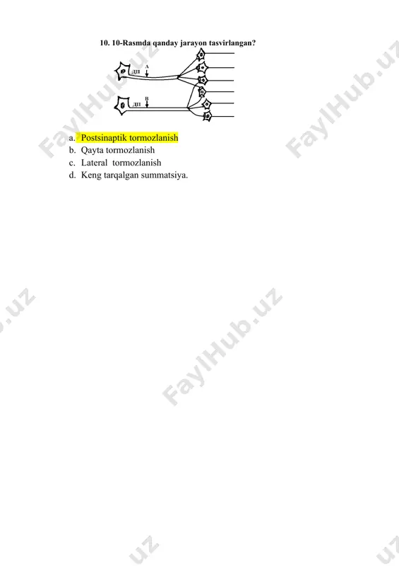sinaps strukturlari - Page 4