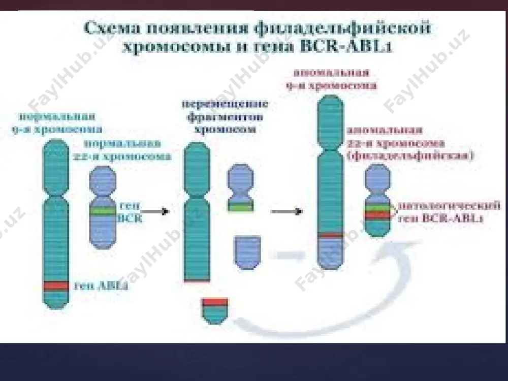 сурункалилейкозлар - Page 5