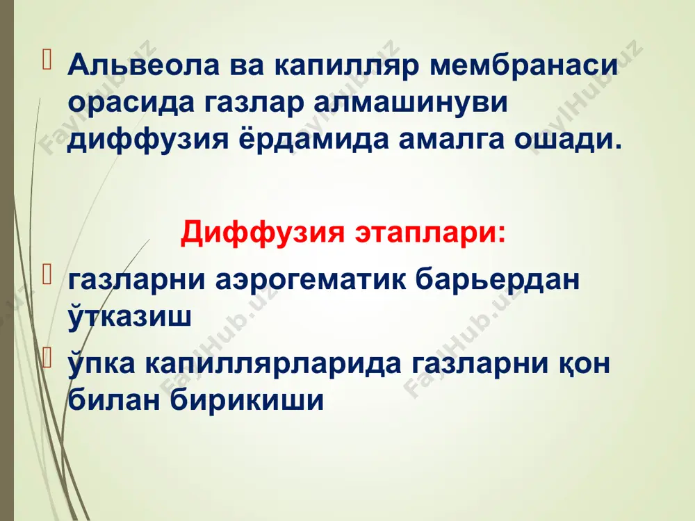 н иборат- инспиратор, экспиратор. нафасни бошқарадиган нерв марказлари узунчоқ миянинг инспирация маркази. узунчоқ миянинг экспирация маркази. варолий кўпригидаги пневмотаксик марказ. ўрта мия (нафас мушакларининг тонуси)ни бошқарилиши. гипоталамус (жисмоний иш бажарганда нафас частотаси ва чуқурлигини бошқарилиши). мия пўстлоғи – ҳар хил шароитларга нафасни мослашишини бошқарилиши (ихтиёрий нафас). нафас маркази фаолияти хеморецепторлар, механорецепторлар ва проприорецепторлардан келувчи афферент импульслар билан бошқарилади. ўпкада 3 турдаги механорецепторлар фарқланади: чўзилиш, ирритант ва юкстаальвеоляр. чўзилиш рецепторлари геринг-брейер рефлексини чақиради. геринг-брейер рефлекси (1868) нафас олиш жараёнида альвеолалар кенгаяди, ўпкани кенгайиш рецепторлари адашган нерв орқали нафас чиқариш марказини қўзғатиб, нафас олиш марказини тормозлайди. рефлекс нафас чуқурлиги ва миқдорини назорат қилади. нафасни бошқарилишида каротид синус, аорта равоғи ва тўқималардан келган афферент импульсларнинг аҳамияти катта. нафасни гуморал бошқарилиши фредерик тажрибасида кўрсатилган. альвеоляр ҳавода со2 концентрациясини ортиши, ўпка вентиляциясини ортишига олиб келади. чақалоқнинг биринчи нафас олиши ҳам со2 ни нафас марказини қўзғатиши билан боғлиқ. нафасни бошқарувчи асосий гуморал факторлар со2 ни ошиши …