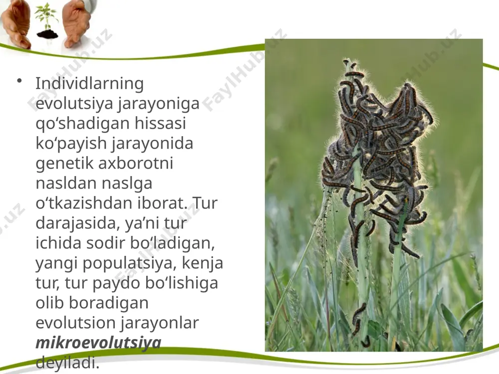 evolutsiyaning sintetik nazariyasi. 10 - sinf - Page 3
