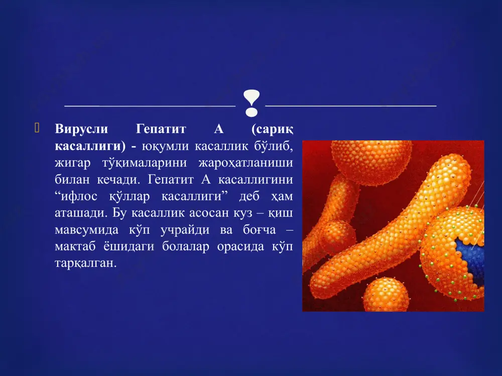 jig'ar va uning vazifasi - Page 4