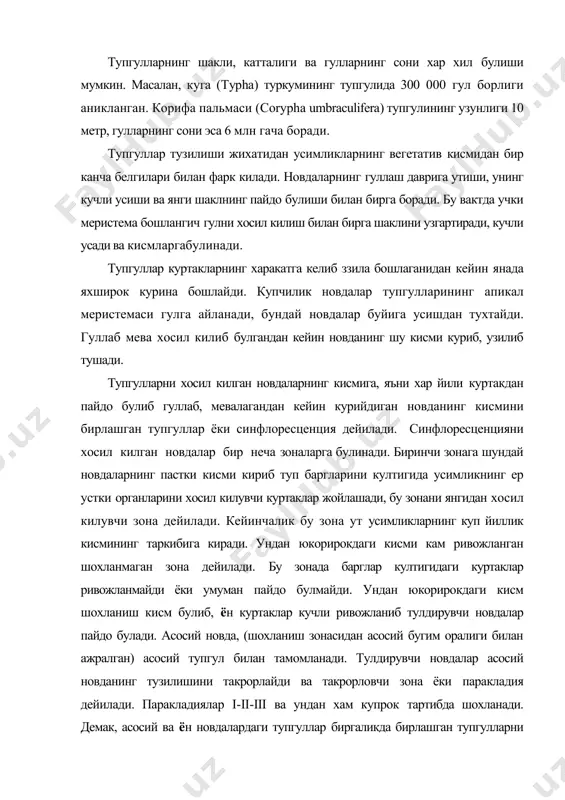 тупгулларни ажратиш мумкин. синфлоресценциянинг ривожланиши яшаш шароитига боглик булади. тупгулларни таърифлаганда асосий морфологик белгиларга ахамият берилади. 1. тупгулларни гулёнбаргларларн булиши ш иулмаслигига караб: а) фрондоз (гул олди барглари йирик, яшил рангда); б) брактеоз (гул олди майдатангача барглар дан иборат); в) яланточ ёки эбрактеоз тупгулларга (гул олди барглари ривожланмаган) булинади. тупгуллар хосил булган жойлардаги барглар турлича булади. агар гулёнбаргчалар яшил рангда булиб, яхши ривожланса фрондоз тупгуллар дейилади. агар тангача барглар сифатида шаклланса брактеоз тупгуллар деб аталади (ландиш, сирень). агар ялангоч булса эбрактеоз тупгуллар дейилади (турп). тупгулларни иккита гурухга ажратиш мумкин: 1. ботрик (юн. «ботрис»-шингил) ёки рацемоз (лот. «рацемос»-шингил) тупгуллар; 2. цимоз (юн. «кюма»-тулкин) тупгуллар. ботрик тупгуллар моноподиал шохланиши билан характерланади. уларнинг охирги (тепа) гули энг кейин очилади. тупгулда гулларнинг очилиш тартиби акропетал, яъни пастдан юкорига- марказга интилувчандир. ботрик ёки моноподиал, тупгулларнинг асосий уки яхши ривожланган, гулларининг сони ноаник булади, шунинг учун хам уларни ноаник. тупгуллар дейилади. моноподиал тупгулларда гуллар тупгулнинг биринчи …