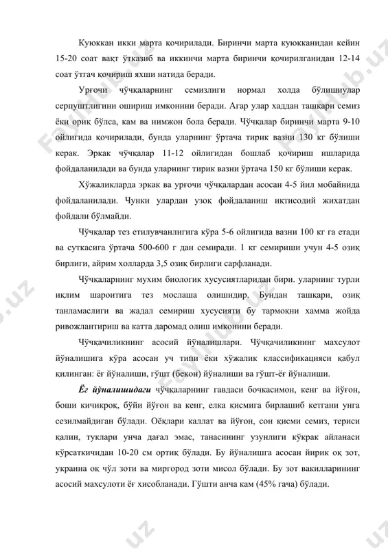 лиқ, туклари унча дағал эмас, лекин зич жойлашган бўлади. асосий зотлари ландрас, эстон беконбоп чўчқаси ва гўшт йўналишига мослаштирилган йирик оқ зот ва украина оқ чўл зотининг айрим линиялари хисобланади. уларнинг асосий махсулотини гўшт ташкил қилади, ёғ жуда кам бўлади. чўчқа зотлари мамлакатимизда 14 та чўчқа зоти ва 20 дан ортиқ зот группаси яратилган. қуйида бу зотларнинг кенг тарқалган айрим вакиллари билан танишамиз. йирик оқ зот. бу зот англия xix асрда чиқарилган. бунда махаллий узунқулоқ чўчқалар хитой ва роман зотлари билан чатиштирилган. олинган дурагайлардан биринчи янги зот вужудга келган. ранги оқ. эркакларининг вазни 250-300 кг, уроғичилариники 220-225 кг. яхши семиртирилган болалари 6-7 ойлигида 90-100 кг тош босади. хар гал 11-12 тадан туғади. бу зот республикамизнинг деярли хамма зона ва районларида кенг тарқалган. украина оқ чўл зоти. бу зот академик м.ф.иванова томонидан украинанинг махаллий чўчқасини йирик оқ зот билан чатиштириш натижасида чиқарилган. ранги оқ. эркакларининг вазни 250-300 кг, урғочилариники 235 кг. …