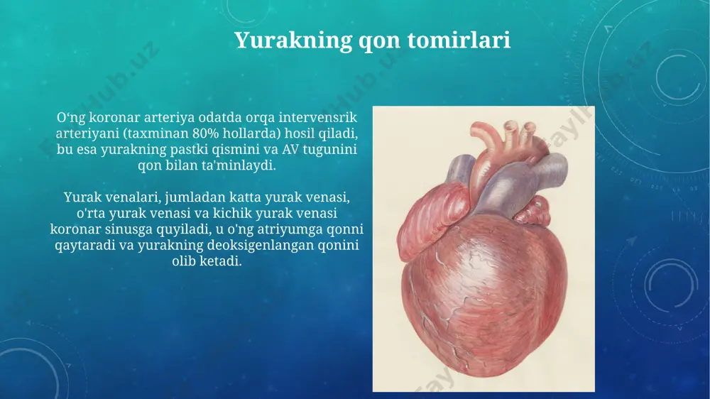 i bosim pasayadi, odatda 80 mm hg dan past bo'ladi. e'tiboringiz uchun rahmat @taqdimot_robot image3.png image4.jpg image5.jpg image6.jpg image7.jpg image8.jpg image9.jpg image10.jpg image11.jpg image12.jpg image13.jpg image14.jpg image15.jpg image16.jpg image17.jpg image18.jpg image19.jpg image20.jpg