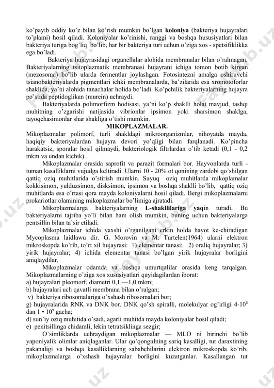 ’g’ri kesilgan, oval yoki o’tkirlashgan bo’lishi mumkin. bakteriyalar ayrim yoki yakka-yakka tayoqchalar, ikkitadan joylashgan diplobakteriyalar, spora xosil qiluvchilari bo’lsa diplobatsillar, zanjir hosil qiluvchilarini esa streptobakteriyalar (streptobatsilla ) deyiladi (4- rasm ). ba’zan buralgan yoki spiralsimon yoki parmasimon buralgan (spiroxeta) ko’rinishga egalari ham uchraydi, ular spirillalar (spira - lotincha buralgan). spirillalarni burilishga ega bo’ladigan kalta egilganlari vibrionlar (vibrio - lotincha qayrilaman) deb ataladi (4 va 5 rasmlar). bakteriyalarning ipsimon shakllari, ko’p hujayralilari ham bo’lib, hujayraning tashqi tomoni har xil o’simtalar hosil qiladi. ularning uchburchak, yulduzsimon, ochiq yoki yopiq xalqa, chuvalchangsimon va boshqa shakllari ham uchraydi (4 va 5 rasmlar). agar bakteriya hujayrasi (sof kulturasi bir turdagi bakteriya indvidlarining (osoblarining) yig’indisi) qattiq oziqa muhitiga ekilsa bir necha soatdan so’ng ular ko’payib oddiy ko’z bilan ko’rish mumkin bo’lgan koloniya (bakteriya hujayralari to’plami) hosil qiladi. koloniyalar ko’rinishi, ranggi va boshqa hususiyatlari bilan bakteriya turiga bog’liq bo’lib, har bir bakteriya turi uchun o’ziga xos - …