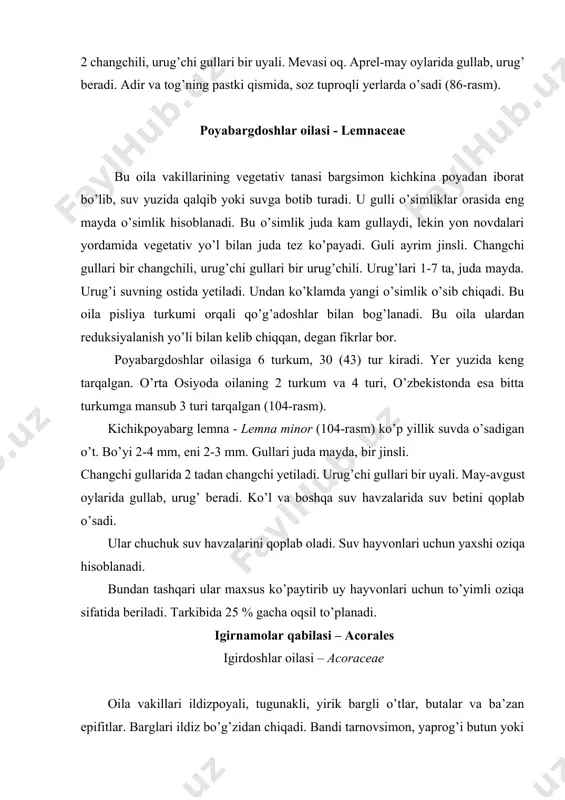 n chiqadi. bandi tarnovsimon, yaprog’i butun yoki qirqilgan. gullari ikki jinsli yoki bir jinsli, so’tasimon to’pgulda joylashgan. so’tasi yirik ko’pincha rangli qoplovchi barglar bilan o’ralgan. bu qoplovchi barg gultoj vazifasini bajaradi. oila takibiga 107 turkumga mansub 1800 turlar kiradi. o’zbekiston florasida 3 turkum 5 turi tarqalgan. 103-rasm. kuchaladoshlar. 1-5. 104-rasm. poyabarglar (ryaska). 1. albert qoraqulog’i (eminium alberti) kichik poyabarg (lemna minor) umumiy ko’rinishi, to’pguli va umumiy ko’rinishi, 2-5. bukri gullarining tuzilishi, 6-10. korolkov poyabarg (l. gibba) umumiy ko’rinishi, kuchalasi (arum korolkovii) umumiy bargi, to’pguli, mevasi, 7-11. ko’rinishi, to’pguli, gul tuzilishi, mevasi uchbo’lakli poyabarg (l. trisulca) umumiy ko’rinishi, guli, urug’lanish jarayoni, mevasi, 12. oddiy spirodela (spirodela polyrhiza) umumiy ko’rinishi, 13. ildizsiz volfiya (wolffia arrhiza) bargi, 14-16. tilsimon volfiya (w. lingulata) bargi, to’pguli, mevasi. igir – acorus turkumi ildizpoyali, uzun qilichsimon bargli, qoplovchi bargi yashil lentasimon, xushbo’y o’simlik.guli ikki jinsli, gulqo’rg’onli, 6 bargli bo’lib, 2 doirada joylashgan. xushbo’y igir – acorus calamus …