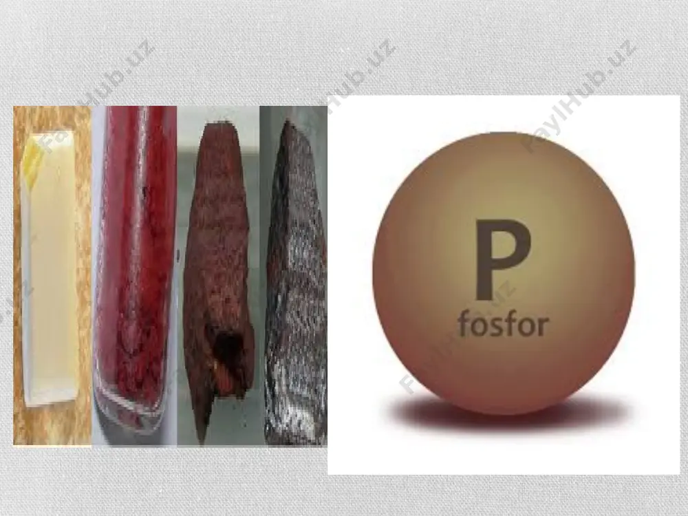 fosforli moddalar, ularning energiya almashinuvudagi ahamiyati - Page 4