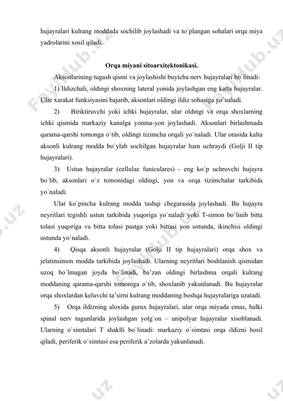 y yadrolar joylashadi. bu hujayra aksonlari oldingi oq birlashmadan o`tib, qarama-qarshi tomondagi yon tizimcha orqali talamusga ko`tariladi, bir qismi esa shu yon tizimchadagi retikulyar, ya’ni to`rsimon substansiyada (tuzilmada) qoladi. yadroda 2 gurux hujayralar ajratiladi: dorzal va bazal hujayralar. bu yadro hujayralari butun orqa miya davomida uchraydi. bu yadro tashqarisida to`rsimon yadro yotadi, u turli kattalikdagi va shakldagi hujayralardan iborat. uning neyriti qisman qarama-qarshi tomondagi yon tizimchaga, qisman o`z tomonidagi yon tizimchadagi retikulyar tizimchaga boradi. bu gurux hujayralar ham orqa miya bo`ylab joylashadi, ayniqsa bo`yin va bel soxalarida yaxshi taraqqiy etgan. dorsal (ko`krak yadrosi, klark yadrolari) yadro orqa shox asosining ichki qismida joylashib, dumaloq yoki oval shaklga ega. bu yadro spinal gangliydagi psevdounipolyar hujayraning akson o`simtasi bilan sinaps xosil qiladi. hujayralar ikki ko`rinishda bo`ladi: markazda juda katta multipolyar hujayralar, ularning dendritlari klark yadrosini o`zida (ichida) qoladi, neyritlari esa o`z tomonidagi yon tizimchaga boradi. ular atrofida mayda duksimon hujayralar joylashadi. klark yadrosi …