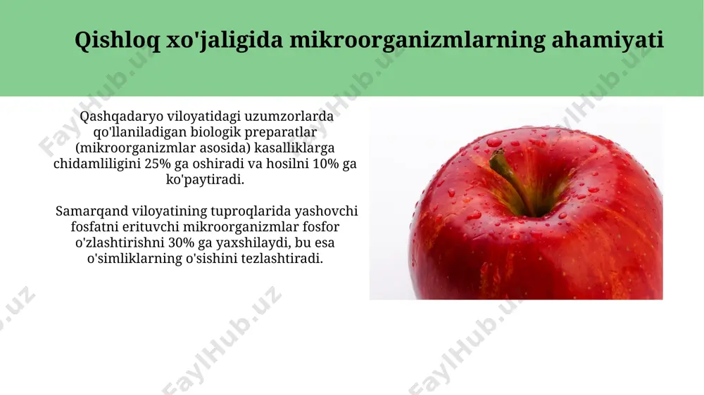 mikroorganizmlarning amaliy ahamiyati - Page 4