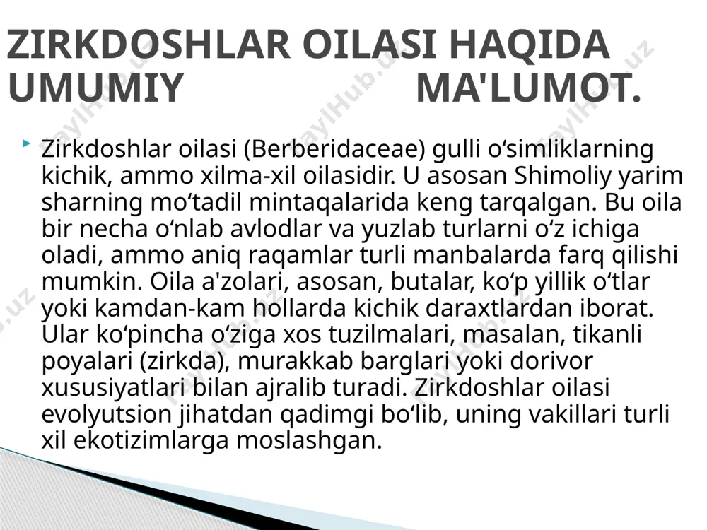 yirik avlodlaridan biri zirk (berberis) bo‘lib, u yuzlab turlarni birlashtiradi. boshqa muhim avlodlarga mahoniya (mahonia, ko‘pincha hozirgi tasnifda berberis bilan birlashtiriladi), muizzakula (epimedium), podofill (podophyllum), nandina (nandina) va boshqalar kiradi. bu avlodlar o‘zining o‘ziga xos morfologik belgilari, genetik xususiyatlari va geografik tarqalishi bilan farqlanadi. oila ichidagi tasnif va avlodlar o‘rtasidagi munosabatlar doimiy tadqiqotlar va genetik tahlillar natijasida aniqlanib borilmoqda. zirkdoshlar oilasining tasnifi va asosiy avlodlari zirk (berberis) avlodi butalar bo‘lib, ularda ko‘pincha tikanlar va ovalsimon qizil yoki ko‘k mevalar mavjud. bu o‘simliklar manzarali bog‘dorchilikda va dorivor maqsadlarda keng qo‘llaniladi. muizzakula (epimedium) – ko‘p yillik o‘t bo‘lib, ko‘pincha soyali joylarda o‘sadi va manzarali bog‘dorchilikda yer qoplagich sifatida mashhur. podofill (podophyllum) – zaharli ko‘p yillik o‘t bo‘lib, uning ayrim turlari tibbiyotda qo‘llaniladigan kuchli moddalar saqlaydi. nandina (nandina domestica) – doim yashil buta bo‘lib, ko‘pincha "muqaddas bambuk" deb nomlanadi va manzarali o‘simlik sifatida o‘stiriladi. bu avlodlar oilaning turli-tumanligini yaqqol ko‘rsatib beradi. asosiy avlodlarga …
