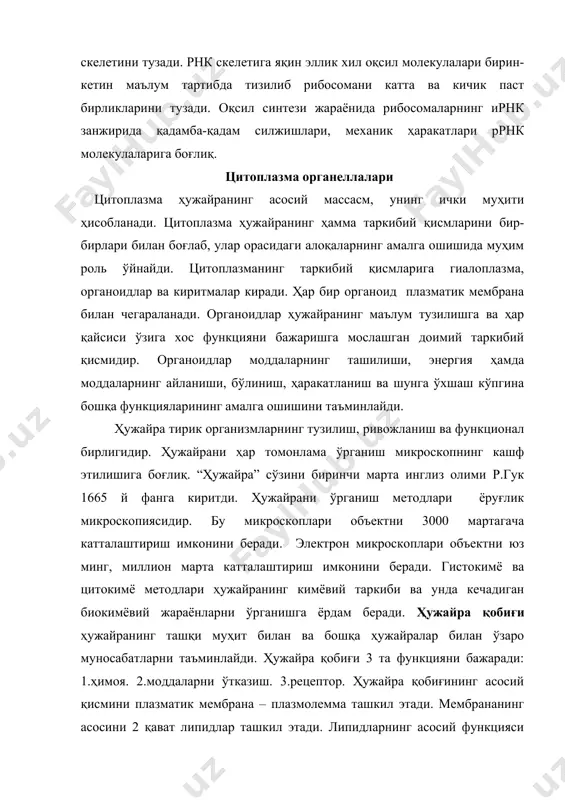 анинг таркибида оқсиллар, ҳар хил ферментлар, рнк, полисахаридлар, липидлар учрайди. ҳужайра органоидлари моддаларнинг ташилиши, энергия ҳамда моддаларнинг айланиши, бўлиниш, ҳаракатланиш ва бошқа функцияларни бажаради. эндоплазматик тўр цитоплазманинг ичкарироқ қисмида жойлашган. донадор эндоплазматик тўр мембранасида рибосомалар иштирокида оқсил синтезида қатнашади. силлиқ эндоплазматик тўр мембранасида ёғ, углеводлар, ёғли гормонлар синтезида иштирокидир. масалан, мускул ҳужайраларида силлиқ эндоплазматик тўр мускул толалари қисқаришида қатнашади. эндоплазматик тўр тери безларининг ҳужайраларида, жигар ҳужайраларида яхши ривожланган. рибосомалар ядродаги ядрочада синтезланиб, кейин цитоплазмага чиқарилади. рибосоманинг асосий функцияси оқсиллар синтезидир. голжи аппарати 1889 йилда италиялик олим к.голжи томонидан нерв ҳужайраларида кашф этилган. голжи аппаратининг функцияси углеводлар синтези, лизосомалар ва ҳужайра мембраналари ҳосил қилишда қатнашади. митохондрияларнинг асосий функцияси энергия ҳосил қилиш, шунинг учун ҳам уни ҳужайранинг “аккумулятори” деб аташади. митохонтрияда атф синтезланади. ядро ҳужайранинг муҳим таркибий қисмларидан бўлиб, эукариот организмлар ҳужайраларининг ҳаммасида учрайди. ядро функцияси: 1.ирсий ахборотни сақлаш ва кўпайтириш 2 ҳужайрадаги моддалар алмашинувини идора қилиш. ядро ичида ядрочалар бўлади. ядрочаларда …