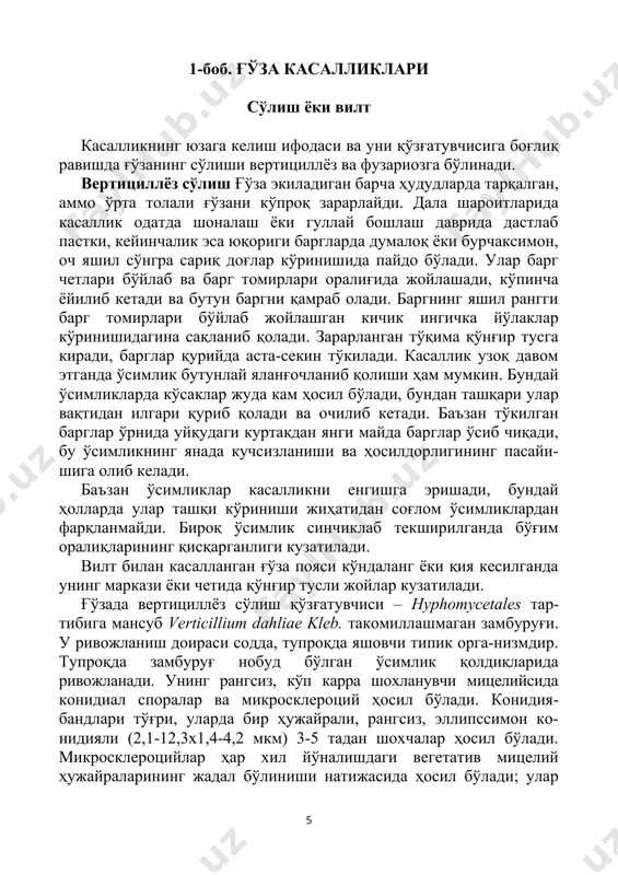 йдалма қатламида (30 см дан чуқурроқда замбуруғ деярли учра-майди) нисбатан йирик ўсимлик қолдиқлари бўлганда ривож-ланади. вегетатив мицелий ўсимликка тупроқдан илдиз тизими орқали киради, бунда у илдизнинг шикастланган жойидаги қобиқ компонентларини емиради. мицелий асосан поянинг илдиз бўғзи атрофида сув ўтказувчи тизимда ривожланади. бироқ кўпинча ўтказувчи томирлар тизими бўйлаб бутун ўсимликка тарқалиб, ҳатто юқориги баргларгача етиб боради. фанда исботланганки, турли экинларнинг илдиз ажратмалари v. dahliae микросклероцийларининг ўсишини жадаллаштиради, аммо бир вақтнинг ўзида ўсимликларни зарарламайдиган тупроқ микрофлораси замбуруғга антагонистик таъсир кўрсатади. v. dah-liae нинг ривожланишига ғўзанинг илдиз ажратмалари ҳам ижо-бий таъсир кўрсатади. ривожланишнинг аввалида улар кучсиз бўлади, кейин эса кучаяди ва мева ҳосил қилиш даврида макси-мумга етади. айнан мана шу ҳолат кўсак ривожланиши даврига келиб касалликнинг кучайиши сабаблари тўғрисидаги фикрларни асослайди. кўпгина олимлар v. dahliae га типик сапрофит сифатида қа-рашган, яъни у ўсимликка шикастланган жой орқали кириб, заҳарли бирикмалар ажратади, шунингдек ўтказувчи найлар тизи-мини беркитиб қўйиб, модалар алмашинувини издан чиқаради ва ўсимликнинг сўлишига …