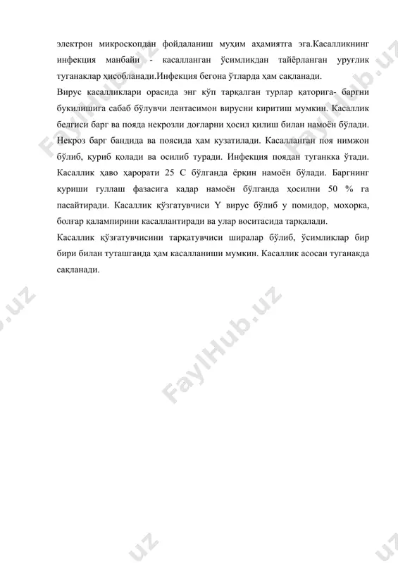 тарқалади. касаллик қўзғатувчисини тарқатувчиси ширалар бўлиб, ўсимликлар бир бири билан туташганда ҳам касалланиши мумкин. касаллик асосан туганакда сақланади. адабиётлар: 1. ўзбекистон республикаси 1998-2000 йиллардаги даврида қишлоқ хўжалиги иктисодий ислоҳотларни чукурлаштириш дастури, 1998. 2. а. в. бондаренко - «биологическая заҳита растений», л. : «колос». 1984. 3. в, в, гулий в бошқалар - «микробологичсекий метод борьбў с вреднўми насекомўми» 4. а. в. бондаренко - «практикум по биологический заҳите растений». л. : 1978. 5. с. н. алимухамедов - «гўза зараркунандалари ва уларга қарши кураш». -т. : «мехнат»1991. 6. с. н. алимухамедов - «гўзани биологик усулда ҳимоя қилиш». - т. «мехнат»1996. 7. н. в. кандўбин - «бактериальнўе средства борьбў с вреднўми насекомўми и грўзунами», 1989. 8. ла брег смитт - «генетическая метод борьбў с вреднўми насекомўмў»- м. »колос». 1971. 9. зашита растений ежемесячнўй теоретический и научно-производственнўй журнал» - м. »агропромиздат», 1985-1999. 10. с, и. алимухамедов, б. п. адашкевич ва бошқалар. «биологическая заҳита хлопчатника» изд. …