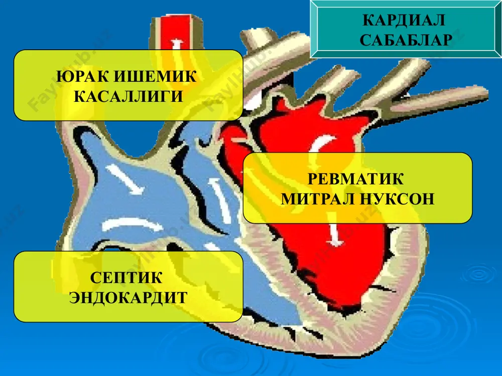 з ривожланишини олдини олиш 1—2 мл 2% промедол еки морфин эритмаси 4 мл 1 % но-шпа еки 2 мл 2% папаверин тромб 15000 – 20000 ед гепарин консерватив терапия тромб яхшиланиш профилактика лизис ишемия сохасидаги кон айланиш ишемия сохасидаги метаболизм ички органлар функциялари операциядан кейинги периферик кон айланишни ва микроциркуляцияни тикланиши токсик моддаларни конга утиши интоксикация ва убе субфасциал шишни ривожланиши болдир мушаклари некрози болдир фасциотомияси курсатма: ишемия 3а дар. ишемия 3б дар. веноз конни чикариш регионар перфузия перфузат: nacl 600,0мл папаверин 2%, 10 мл. новокаин 0,25% 200мл стрептаза 1млн гепарин 10000. аик гемосорбция плазмаферез конни токсик моддалардан тозалаш специальные раздвижные герметичные двери, модульные стеновые панели для чистых комнат, герметичные потолки, антистатические покрытия для пола, системы чистого воздуха - всё это гарантирует наилучший гарантированный результат реконструктив операцияларга абсолют карши курсатмалар агонал холатлар тотал ише- мик контрактура ( 3в дар) ишемиянинг енгил даражаси(ин-и1б), лекин умумий ахволнинг ута огирлиги оператив кесмалар оёқлар …