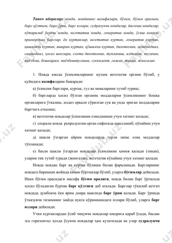 р ҳам кузатилади ва улар судралувчи новдаларни ҳосил қилади. айрим новдалар эса пастга эгилиб ўсиб, йиғлоқи новдаларни вужудга келтиради (қайин, четан, мажнунтол). айрим бута, чала бута ва ўт ўсимликлари кўтарилиб ўсувчи новдалар ҳосил қилади. баъзи ўсимликларда ён новда деярли тик ўсади ва пирамидал шаклли ўсимлик ривожланади. новда учки ўсишдан ташқари, иккиламчи ҳосил қилувчи тўқима фаолияти натижасида интеркаляр йўл билан ҳам ўсади. новдалар бажарадиган вазифасига кўра вегетатив ва генератив новдаларга бўлинади. вегетатив новдаларда одатда фақат барг ривожланади ва уларнинг бўғим оралиқлари узун бўлади. генератив новдаларда бўғим оралиғи қисқарган бўлиб, уларда баргдан ташқари гул, мева, уруғ ҳам ривожланади. 2. новда учки куртакнинг ривожланишидан ҳосил бўлади. учки куртак барг бошланғичлари билан ўралган бошланғич муртакдир. учки куртакнинг бошланғич барглари поянинг ўсиш конуси деб аталувчи учки қисмини ҳимоя қилади. ўсиш конуси асосида бошланғич баргнинг майда думбоқчалари бўлиб, кейинчалик улардан примордиал барглар чиқади. учки куртак остида, барг қўлтиғида ҳам куртаклар бўлиб, улар ён куртаклар дейилади ва …