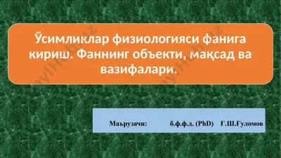 усимликлар физиологияси — PPTX