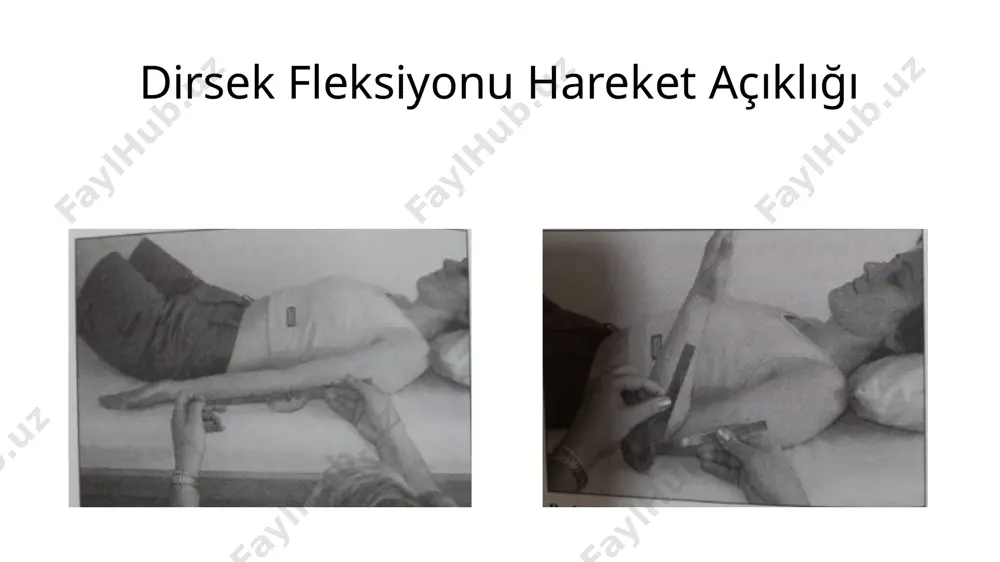 dirsek - Page 3