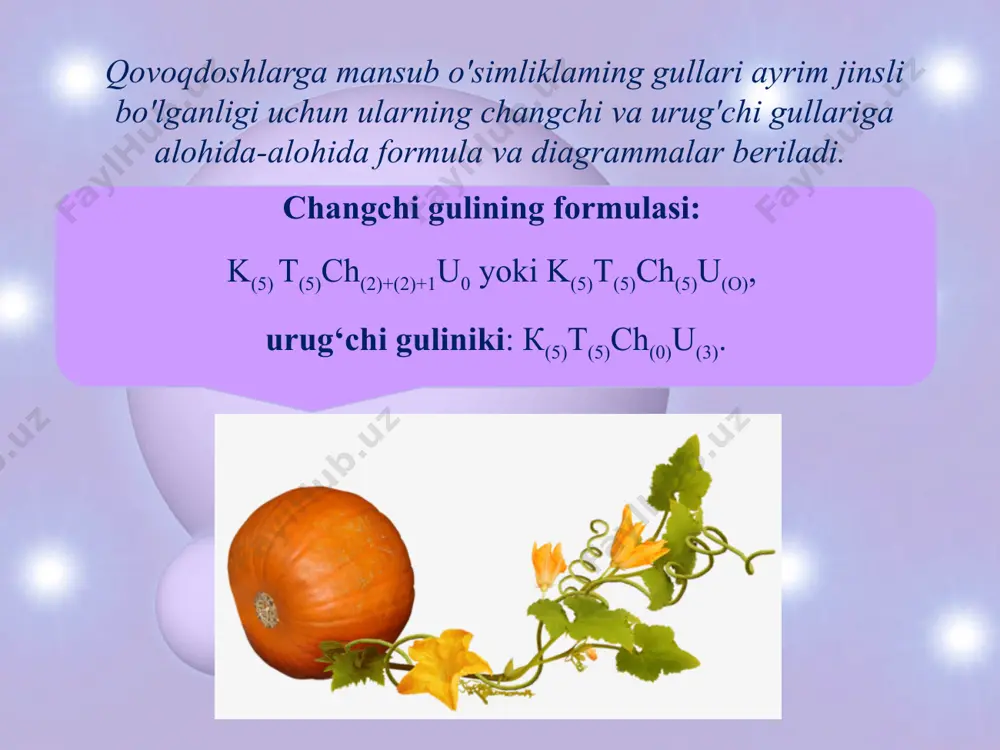 qovoqdoshlar oilasi - Page 4