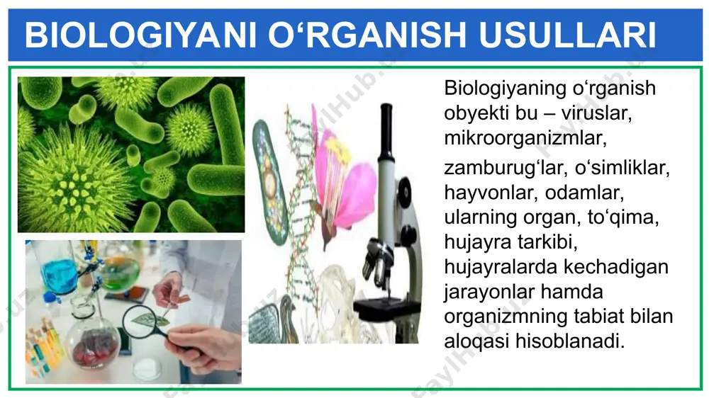 biologiyani o’rganish usullari - Page 4