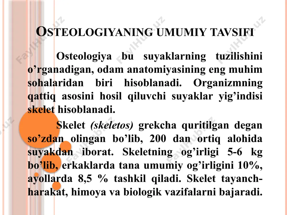 osteologiya - Page 4