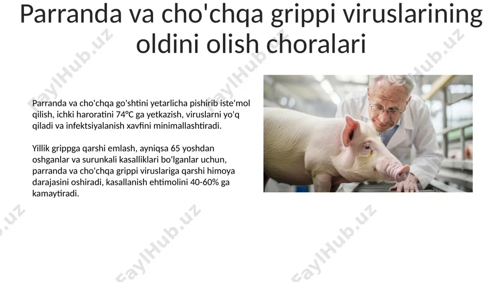 parranda va cho‘chqa viruslari - Page 5
