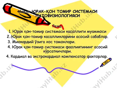 юрак-қон томир системаси патофизиологияси — PPT