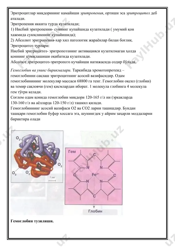 глобинининг кўп қисми (95-98%) а (лотинча adultus-катта ёшли); 2-3% гемоглобин а2; 1-2% фетал (лотинча fetus – ҳомила), ёки f гемоглобин фракцияларидан иборат. а ва а2 гемоглобинлар деярли барча эритроцитларда учрайди, f гемоглобин эса ҳар доим учрайвермайди. f гемоглобин асосан ҳомила қонида учрайди. бола туғилиш даврига келиб унинг қондаги микдори 70-90% га етади. f гемоглобин а гемоглобинга нисбатан юқорироқ о2 билан химиявий яқинликка эга бўлганлиги туфайли ҳомила тўқимасида гипоксия ҳолати келиб чиқмайди. ушбу мослашув реакцияси f гемоглобинни 2,3-дифосфоглицерин кислотаси билан қийин боғланиши билан боғлиқ, ўз навбатида бу гемоглобинни оксигемоглобинга айланишини сусайтиради, демак, тўқимага о2 ни берилишини осонлаштиради. гемоглобин бирикмалари. оксигемоглобин (ннbо2) – гемоглобиннинг о2 билан бирикмаси; қайта тикланган (дезокси-) гемоглобин (ннb) – тўқимага кислородни берган гемоглобин, веноз қоннинг таркибида 35% гача ннb бўлиши мумкин; карбогемоглобин (ннbсо2 ) – гемоглобинни со2 билан бирикмаси, қонда со2 10-20% ннbсо2 ҳолатида ташилади, карбоксигемоглобин (ннbсо) – гемоглобиннинг ис(со) гази билан бирикмаси, со газининг гемоглобин билан химиявий …