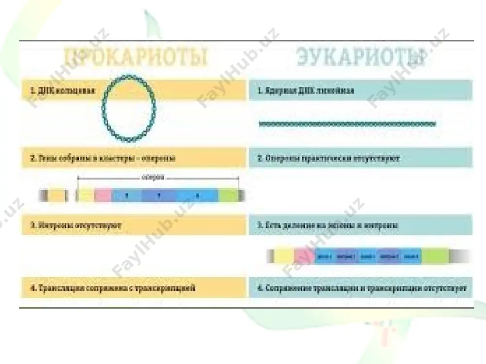 genomlar xilma-xilligi va ularning strukturasi - Page 4