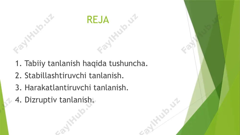 o‘tkazishda inson doimo o‘z manfaatlarini ko‘zlaydi. shu sababli sun’iy tanlash tufayli chiqarilgan nav va zotlarda inson manfaati uchun xizmat qiladigan belgi-xossalar yaxshi rivojlangan bo‘ladi. tabiiy tanlanishda esa inson manfaati emas, balki organizm manfaatlari birinchi o‘rinda turadi. yashash uchun kurashga moslashgan organizmlar moslashmagan organizmlarga nisbatan kamroq nobud bo‘ladi. bu esa o‘z-o‘zidan tabiiy tanlanish, organizmning muhitga moslashishida yangi populatsiya, turlarning kelib chiqishida asosiy omil ekanligidan dalolat beradi. tabiiy tanlanish 2. harakatlantiruvchi 1. stabillashtiruvchi 3. dizruptiv ii stabillashtiruvchi tanlanish. bu tanlanish populatsiyaning o‘zgaruvchanligini kamaytiradi, turg‘unligini oshiradi. har bir populatsiyaning hayoti muhitga bog‘liq. u yashab qolish uchun doim muhit sharoitiga moslanishi kerak. agar bir necha bo‘g‘in mobaynida yashash sharoiti o‘zgarmasa, u holda populatsiya – yuqori moslanish darajasiga ega bo‘ladi va tabiiy tanlanish o‘zgaruv chanlikni stabillashtirish tomonga yo‘naltiradi. muhitga yaxshi mos lashgan, o‘rtacha normaga ega formalar saqlanadi, normadan o‘zgargan organizmlar esa nobud bo‘ladi. fenotipi keskin o‘zgar gan formalarning halokatga uchrashi tabiiy populatsiyalarda bir necha bor …