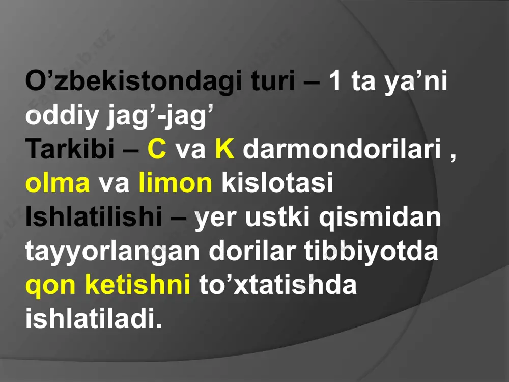 karamdoshlar oilasi - Page 4