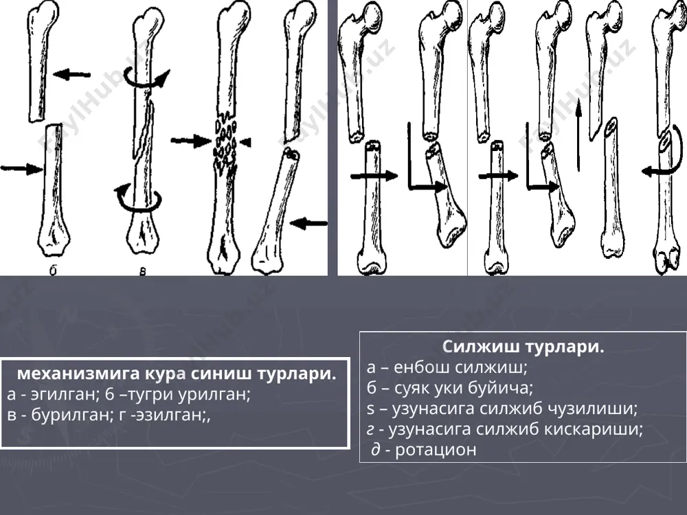 синишлар, чиқишлар - Page 5