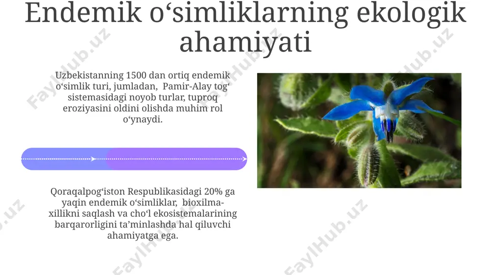 o'zbekiston florasi endemlari - Page 4