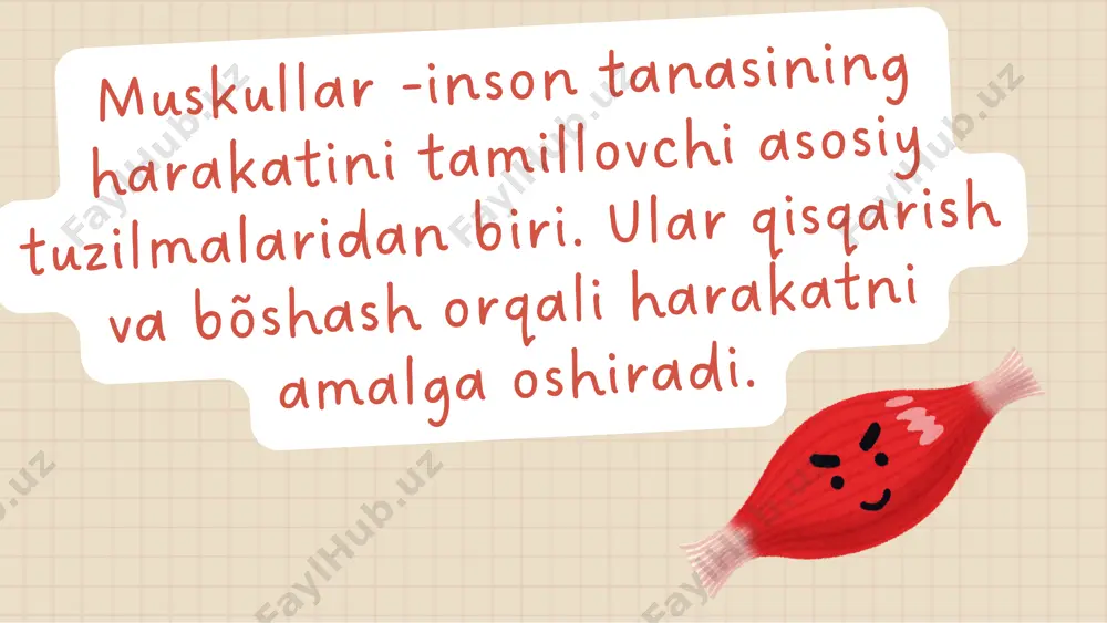 muskullar haqida umumiy ma'lumot - Page 2