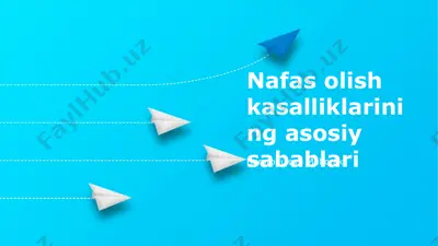 nafas olish kasalliklarining asosiy sabablari — PPTX