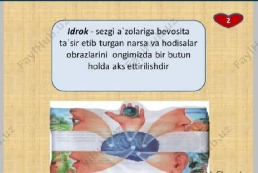 idrok haqida tushuncha - Page 2