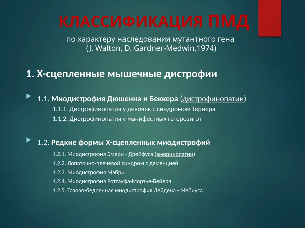 ogo, togda kak pri bolezni bekkera on kolebletsya ot 3 do 20 % patogenez pri sokrashenii mishechnogo volokna proisxodit «skoljenie» sokratitelnix belkov otnositelno drug druga, kotorie doljni bit fiksirovani k sarkolemme. distrofin neposredstvenno primikaet k ney iznutri, yavlyayas sostavnoy chastyu t.n. «distrofin-assotsiirovannogo proteinovogo kompleksa» (dapc). etot kompleks prikreplyaet sokratitelnie belki mishechnogo volokna k sarkolemme i drugim mishechnim voloknam (vnekletochnomu matriksu) posredstvom drugix belkovix kompleksov. mishechnie volokna s nedostatochnim soderjaniem distrofina bistro razrushayutsya. protsess kompensiruetsya za schyot obrazovaniya novix mishechnix volokon, no s techeniem vremeni degenerirovavshie volokna zameshayutsya jirovoy i soedinitelnoy tkanyu. v nebolshix kolichestvax distrofin predstavlen v serdechnoy mishtse, gladkoy muskulature i tsns. immunopatologicheskie mexanizmi: xronicheskiy vospalitelniy protsess i narushenie protsessov regeneratsii. reaktsii vospalitelnogo kaskada zapuskayutsya vskore v 8-10 mesyachnom vozraste. defekt lipidnogo bisloya sarkolemmi -> povishenie eyo pronitsaemosti, osobenno pri mishechnom napryajenii -> -> vnutrikletochnaya kfk vixodit v krov, vnekletochniy sa2+ ustremlyaetsya v miotsiti. klinika pmd dyushenna techenie pmd …