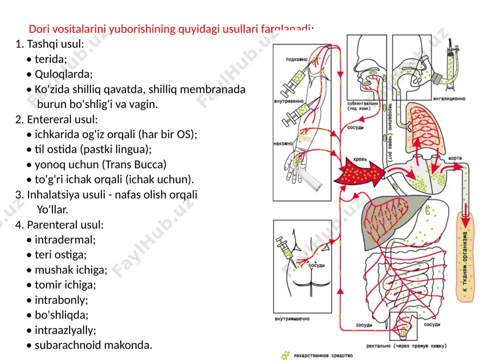 -20 minut ichishi kerak. sariqchilik giyohvand moddalar uyqudan 30 daqiqa oldin beriladi. bir qator giyohvand moddalar (masalan, nitrogyterin planshetlari) doimiy ravishda qo'llarida doimiy ravishda bo'lishi kerak. in'ektsiya o'tkazayotganda, aseptik qoidalarga rioya qilish (steril qo'lqop va niqobga soling), yorliqda yozuvni yaxshilab yuvish kerak, yorliqni tekshiring, muddati tugaganligini tekshiring, sanani tekshiring steril shishadagi otopsiya. preparat ma'muridan keyin uni xurmo va vaqt tarixi, preparatning nomi, uning dozasi, dozasi va boshqaruv usuli qayd etish kerak. demak, faqat dorixonadan chiqarilgan paketda saqlang. boshqa idish-tovoqlarga echimlarni to'kib tashlash, tabletkalarni, changlarni boshqa paketlarga siljitishi mumkin emas, ularni giyohvand moddalar qadoqlariga solib qo'yadi; dori-darmonlarni alohida javonlarga (steril, ichki, tashqi, guruh a) saqlash kerak. dori vositalarini qazib olish va saqlash qoidalari terapevtik va profilaktika muassasalari bo'limlari tomonidan dori-darmonlarni yozish va olish tartibi quyidagi bosqichlardan iborat: - kasallik kasalliklaridan shifokorning rigusini tanlash. - giyohvand moddalarga qo'yishni rejalashtirish. - dorixonadan dori-darmonlar olish. dori-darmonlarni saqlash printsipi uchta guruhga qat'iy taqsimlanadi: 1. a …