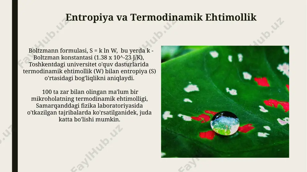 termodinamik ehtimollik tushunchasi - Page 4