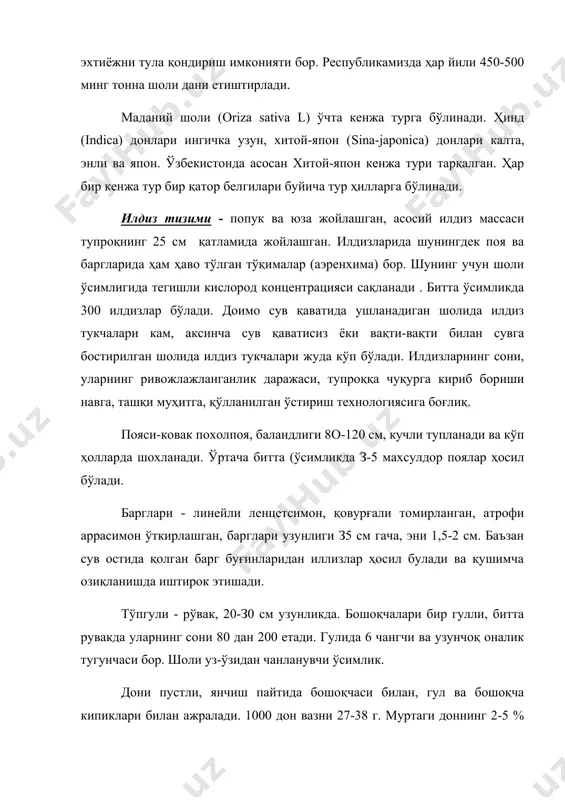 рорат 40 0с. паст ҳарорат ўсимликнинг ўсиши ва ривожланишини кучли тормозлайди. ҳарорат 17-18 0с паст булса донлар пишмай қолади. ҳарорат 0,5 0с совуқ булса шоли учун ҳавфли, 1 0с совуқ ўсимликни нобуд қилади. ўсув даврида самарали ҳарорат турли навлар учун турлича - 2200 0 (сантахезский 52) дан (узрос)-7-13 да 3200 0 гача. жуда кўп навларнинг вегетация даври 90-140 кунгача. тошкент вилоятида м. и. уклонския тажрибаларида шоли рувагининг гуллаши июлда 3 кунда, августда 4 кунда,сентябрда 5-6 кунда, октябрда 7 кунда ўтган. намликка талаби. шоли экологик табиатига кура гигрофит. шоли ўсимлиги қуруқ (суходолний) шароитда ўсадиган ғалладош экинларга нисбатан туқималарида кам сув сақлайди. шунинг учун туқималари оз булсада сувсизланишига бардош бера олмайди. тупроқ юзасига яқин ҳаво қатламида намлик юқори. бу ҳол шоли транспирациясини камайтиради. ўзбекистон шароитида 1 г қуруқ модда ҳосил қилиш учун 450-550 г сув сарфланади. бошқа ғалладош экинларга нисбатан бу кўрсаткич юқори. сув қатлами сувни тежаб сарфлашга шунингдек шолипояда муқобил иссиқлик …