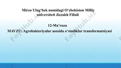 agrobakteriyalar asosida o‘simliklar transformatsiyasi — PPTX