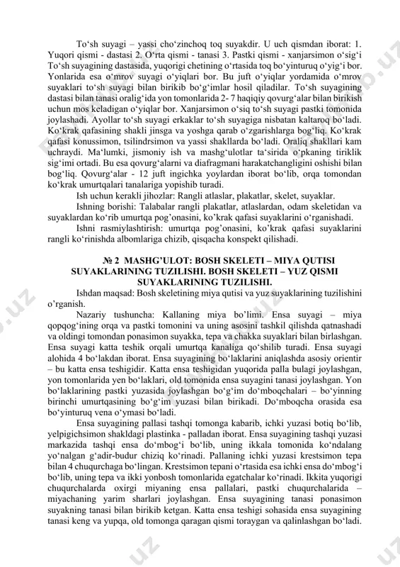 yuzasi krestsimon tepa bilan 4 chuqurchaga bo‘lingan. krestsimon tepani o‘rtasida esa ichki ensa do‘mbog‘i bo‘lib, uning tepa va ikki yonbosh tomonlarida egatchalar ko‘rinadi. ikkita yuqorigi chuqurchalarda oxirgi miyaning ensa pallalari, pastki chuqurchalarida – miyachaning yarim sharlari joylashgan. ensa suyagining tanasi ponasimon suyakning tanasi bilan birikib ketgan. katta ensa teshigi sohasida ensa suyagining tanasi keng va yupqa, old tomonga qaragan qismi toraygan va qalinlashgan bo‘ladi. tananing pastki yuzasining o‘rtasida halqum do‘mbog‘i joylashgan. bu do‘mboqga halqum orqa yuzasi bilan birikadi. ponasimon suyak - juda murakkab tuzilgan bo‘lib, tana va uch juft o‘simtalardan iborat. kichik qanotlar yuqoriga, katta qanotlar - yenga va lateral tomonga – qanotsimon o‘simtalar pastga qaratilgan bo‘ladi. ponasimon suyakni tanasi kubsimon shaklga ega bo‘lib, havo saklovchi katakchalardan iborat. bu katakchalar burun bo‘shligi bilan tutashadi. ponasimon suyak tanasining kalla bo‘shligiga qaragan yuqori yuzasining o‘rta qismida egarchaga o‘xshash chuqurcha - turk egari joylashgan, bunda endokrin bezlarning ―malikasi- gipofiz o‘rnashgan. peshona suyagi kalla …