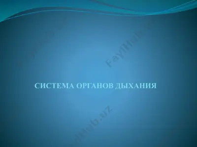 sistema organov dykhaniya — PPTX