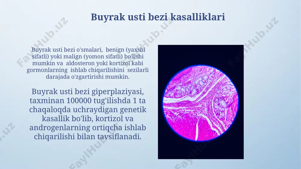 tizimining regulyatsiyasi gipotalamus, adenohipofiz va periferik bezlar o'rtasidagi murakkab o'zaro ta'sirlar orqali, masalan, kortikotropin-rilizing gormon (crh) va adrenokortikotrop gormon (acth) o'zaro ta'siri orqali, 2-3 bosqichli regulyatsiya yuz beradi va steroid gormonlarning sekretsiyasi nazorat qilinadi. endokrin tizimining asosiy regulyatsiyasi mexanizmi 3 ta asosiy yo'nalishda amalga oshiriladi: salbiy teskari aloqa, ijobiy teskari aloqa va neyroendokrin regulyatsiya orqali, bu jarayonlar gormonlar kontsentratsiyasini 1-10 ng/ml oralig'ida ushlab turadi. qalqonsimon bez qalqonsimon bezning giperfunksiyasi yoki gipotireoz kabi kasalliklari qonda t3 va t4 gormonlarining miqdorining 30-50% ga o'zgarishiga olib kelishi mumkin, bu esa organizmga jiddiy ta'sir ko'rsatadi. qalqonsimon bez t3 va t4 gormonlarini ishlab chiqaradi, ular organizmning asosiy metabolizm tezligini, o'sish va rivojlanishini tartibga soladi, bu jarayonlarda 20 dan ortiq fermentlar ishtirok etadi. endokrin tizimining umumiy tavsifi endokrin bezlarning faoliyati, masalan, qalqonsimon bezning t3 va t4 gormonlari ishlab chiqarishi, qon tarkibini tahlil qilish orqali aniqlanishi mumkin. gormonlarning qonga chiqarilish tezligi va miqdori neyroendokrin tizim orqali, ya'ni …