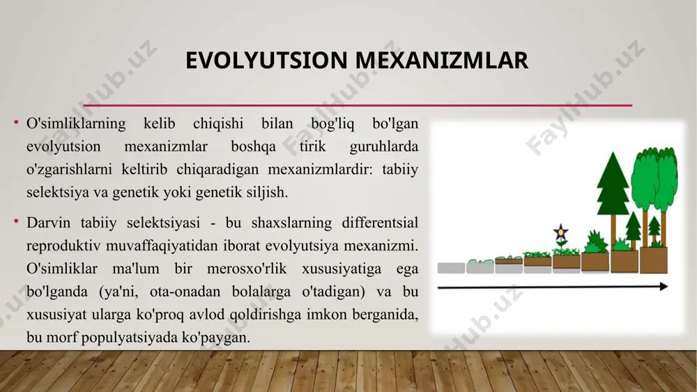 o‘simliklarning evolyutsiyasi - Page 5