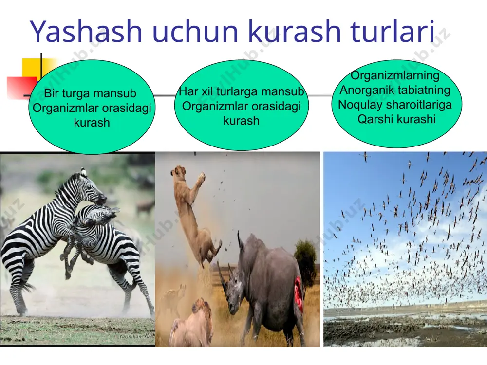 yashash uchun kurash - Page 5