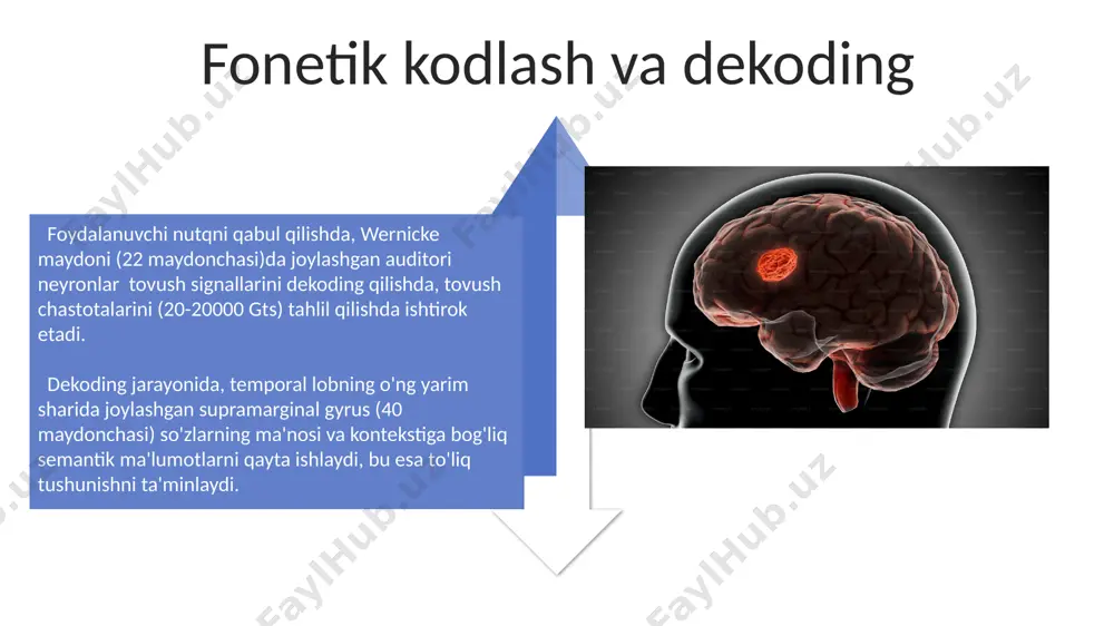 yatsiyasi uchun juda muhimdir. e'tiboringiz uchun rahmat @taqdimot_robot image4.jpg image5.jpg image6.jpg image7.jpg image8.jpg image9.jpg image10.jpg image11.jpg image12.jpg image13.jpg image14.jpg image15.jpg image1.jpeg image2.jpeg