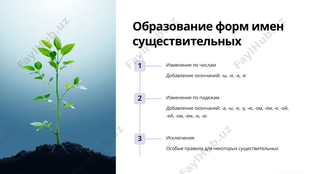 анализ форм существительных и прилагательных в тексте - Page 4
